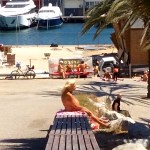 Something about Mary ??