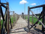 barbwire fences separate the ‘fields’ at Majdanek prison